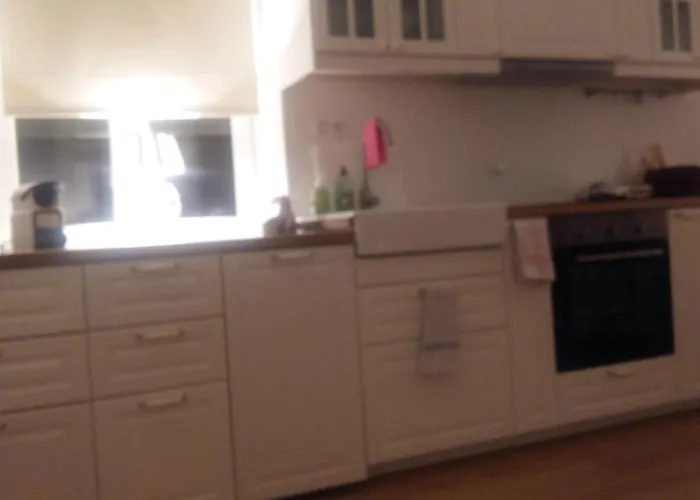 Traumwohnung Wiener Altbau - Zentral-